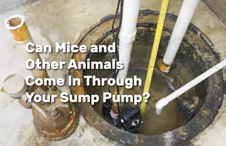 Can a Mouse Come Up a Sump Pump?